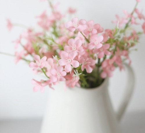 Alpine Forget Me Not Pink 